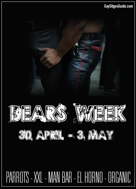 Bears Week 2009