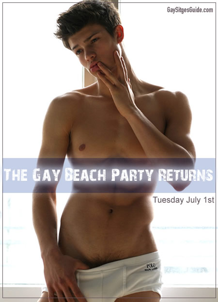 Gay Beach Party 2008