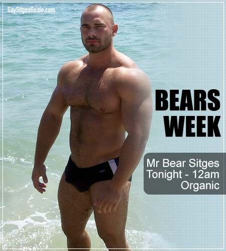 Mr Bear Sitges 2008
