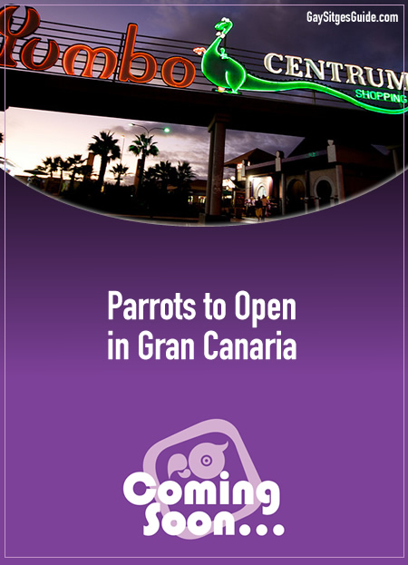 Parrots Gran Canaria